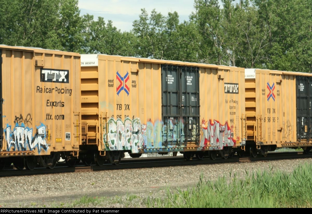 TBOX 665014
