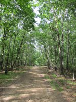 The oniginal Lackawanna ride a way