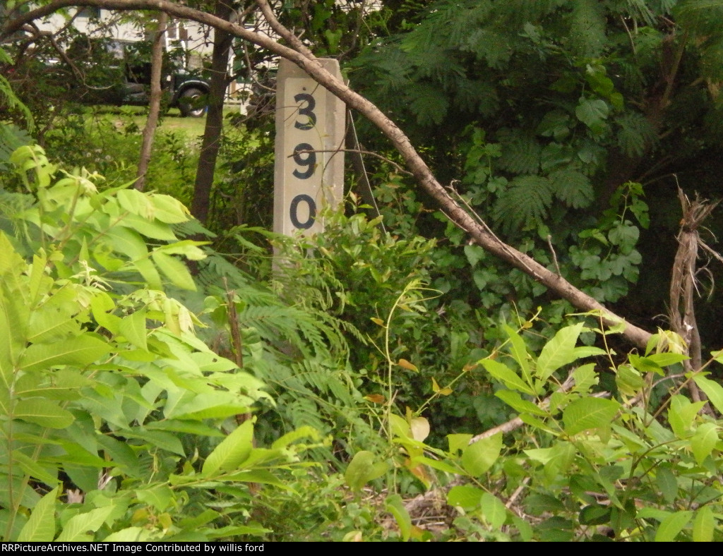 Found this old mile marker 390 in the woods.