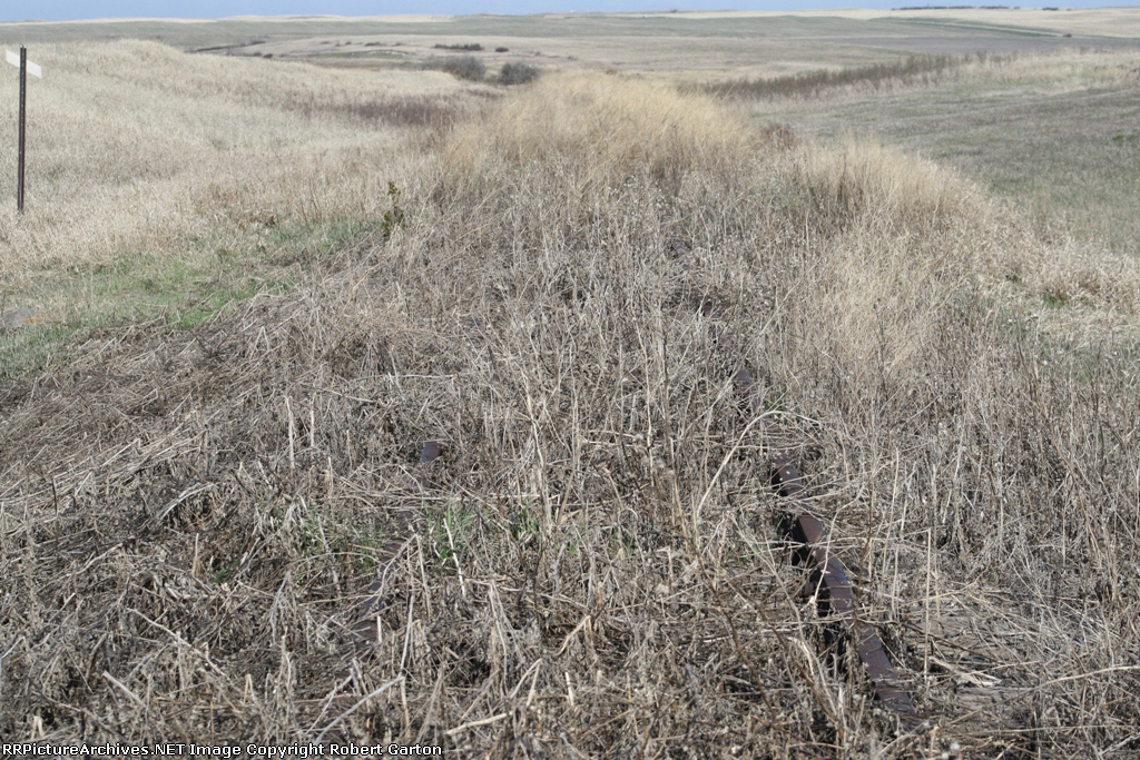 Looking West You Can Still Sort of See the Rails in the Weeds