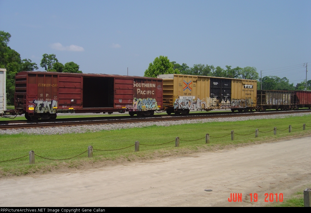 SP 246860 and  TBOX 670159