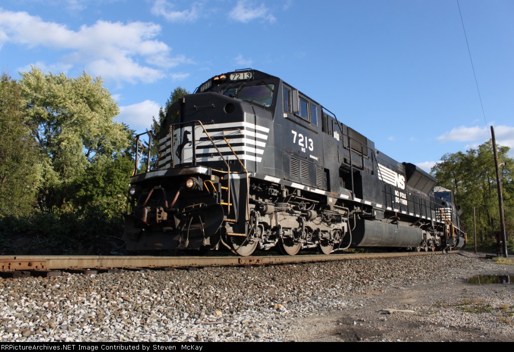 NS 7213