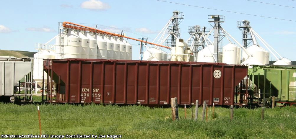 BNSF 430559