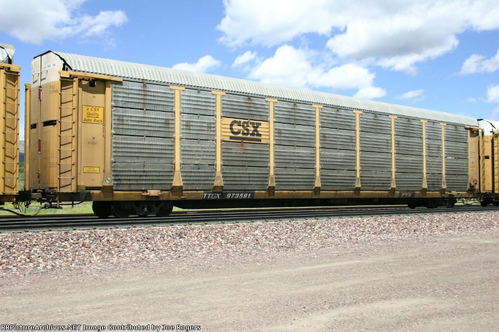 TTGX 973581