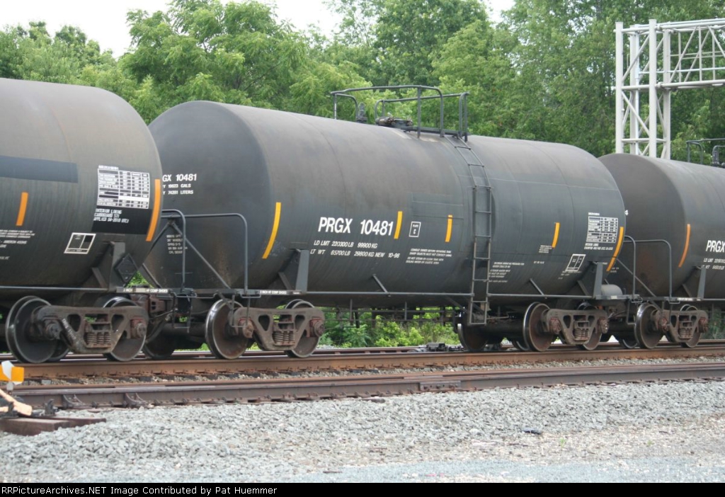 PRGX 10481