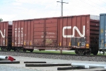 CN 558203