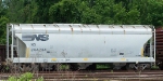 NS 244234