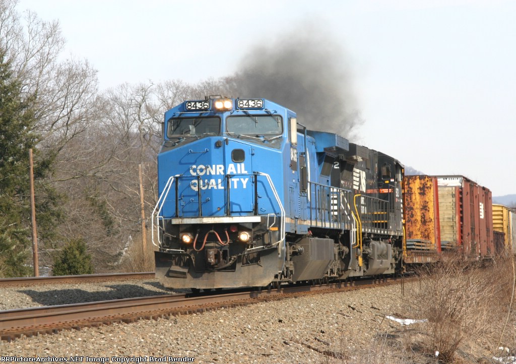 NS 8436 NS 8436