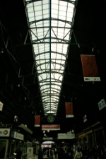 Central Station main concourse roof