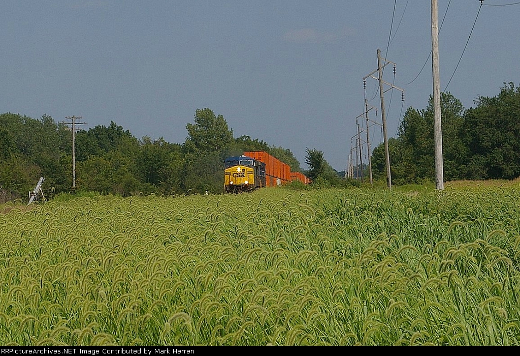 Foxtails & Doublestacks