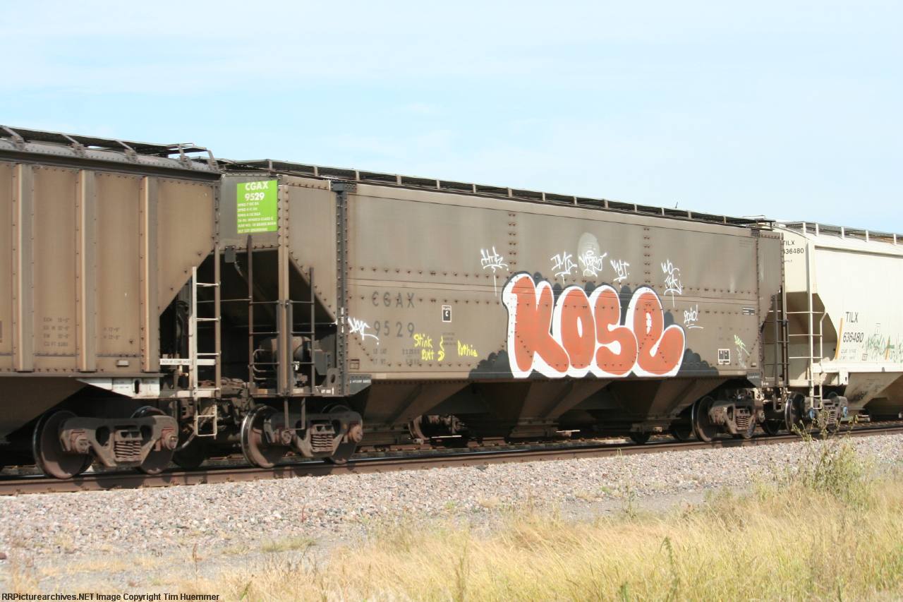 CGAX 9529
