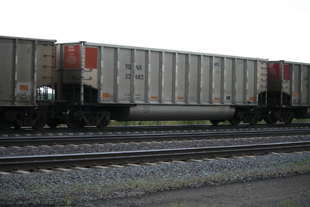 TGNX 32682