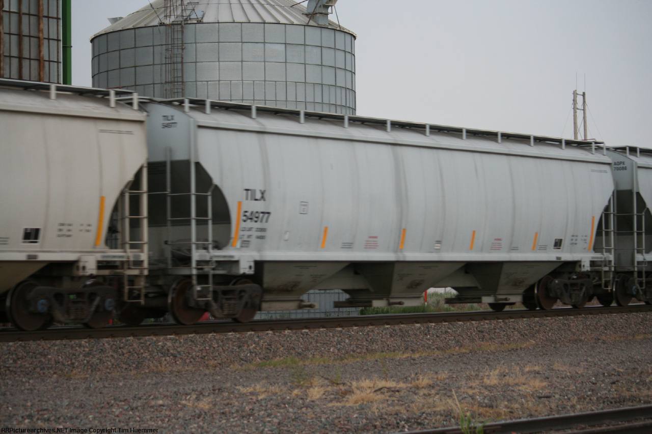 TILX 54977