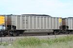 COEH 6505