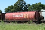 CP 606584
