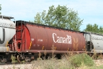 CN 11104