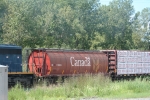 CN 111805