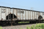 NS 21481