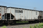NS 31901