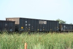 NS 200637