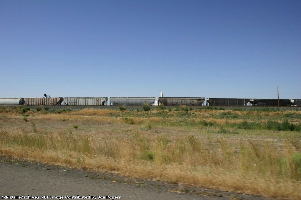 Seven covered hoppers