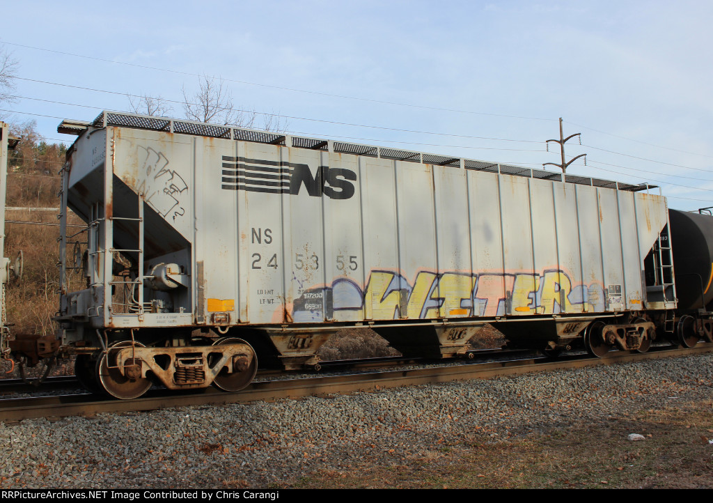 NS 245355