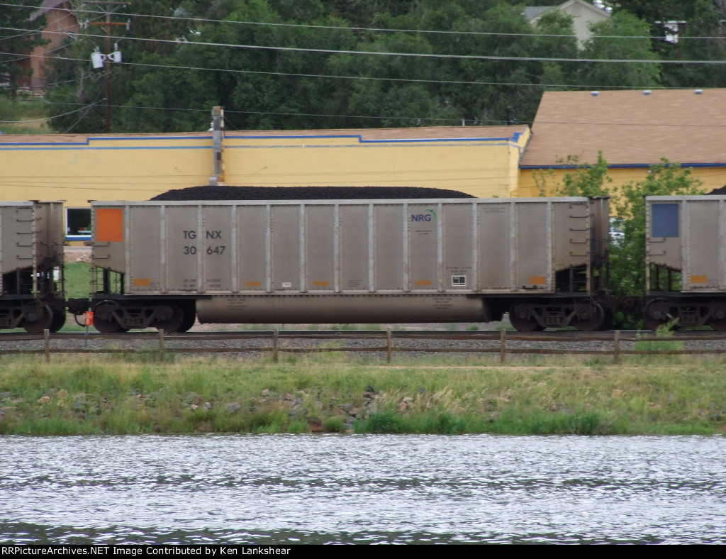 TGNX 30647
