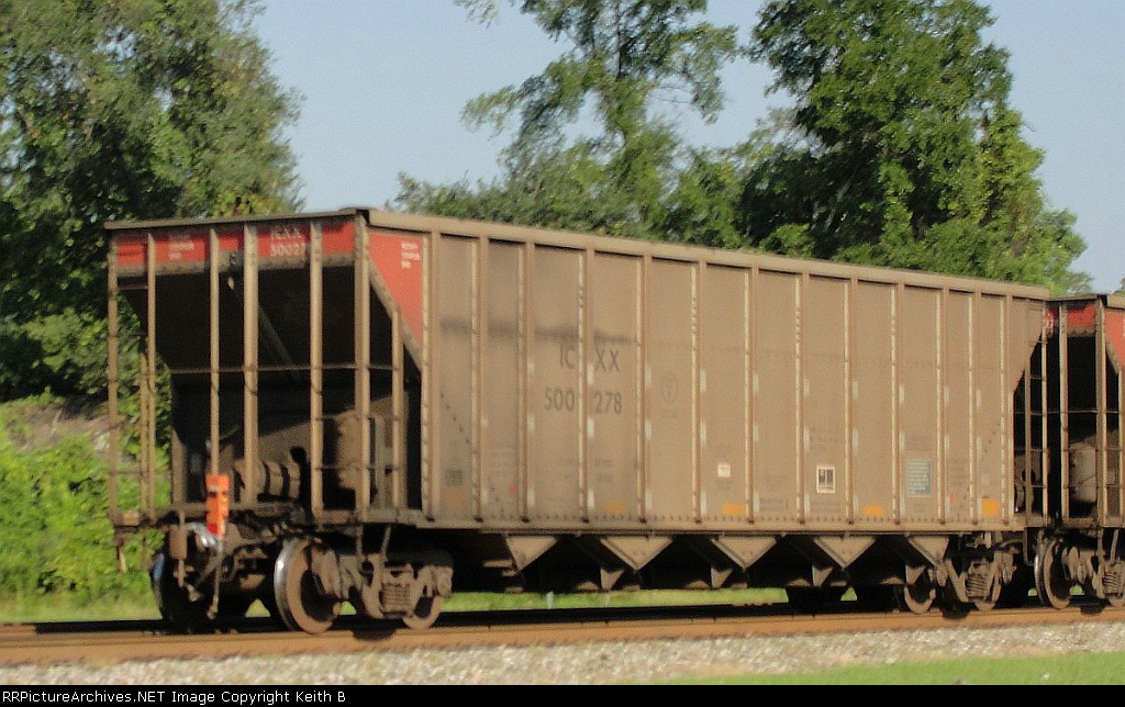ICXX 500278