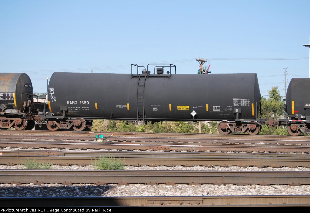 GAMX 1650