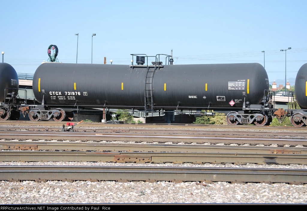 CTCX 731976