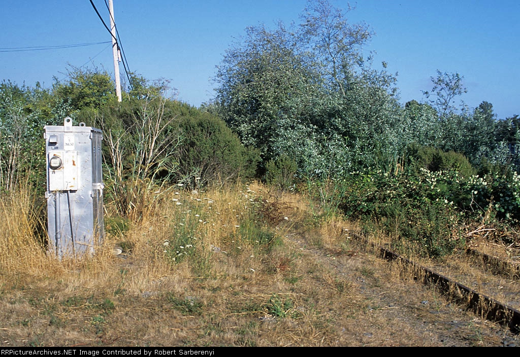 Overgrown right-of-way