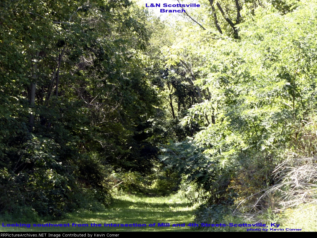 L&N Scottsville Branch roadbed