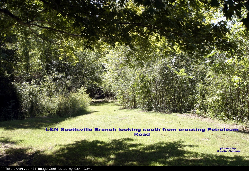 L&N Scottsville Branch roadbed