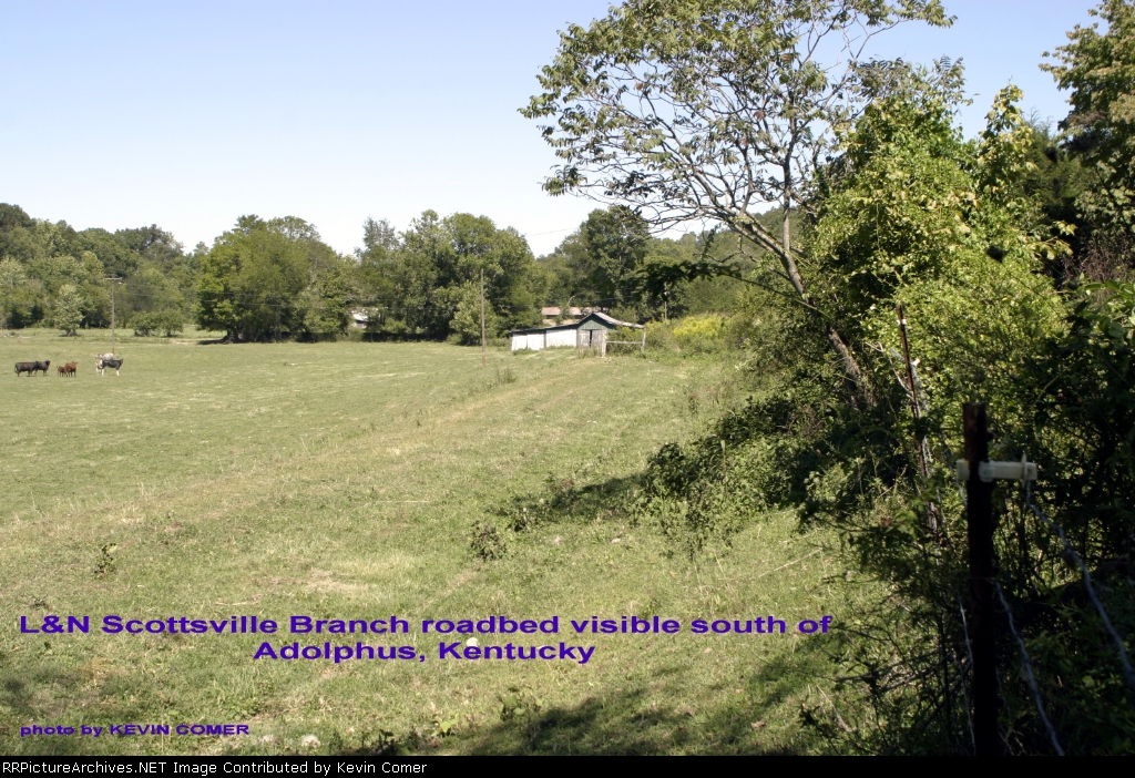 L&N Scottsville Branch roadbed