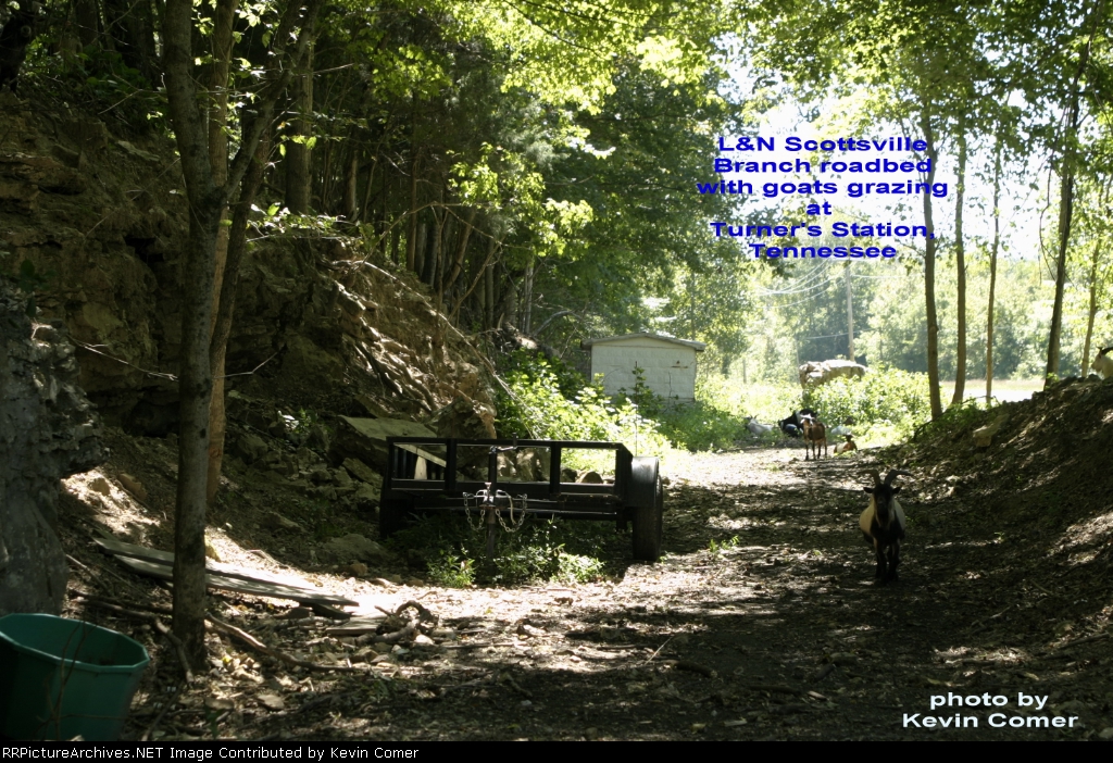 L&N Scottsville Branch roadbed