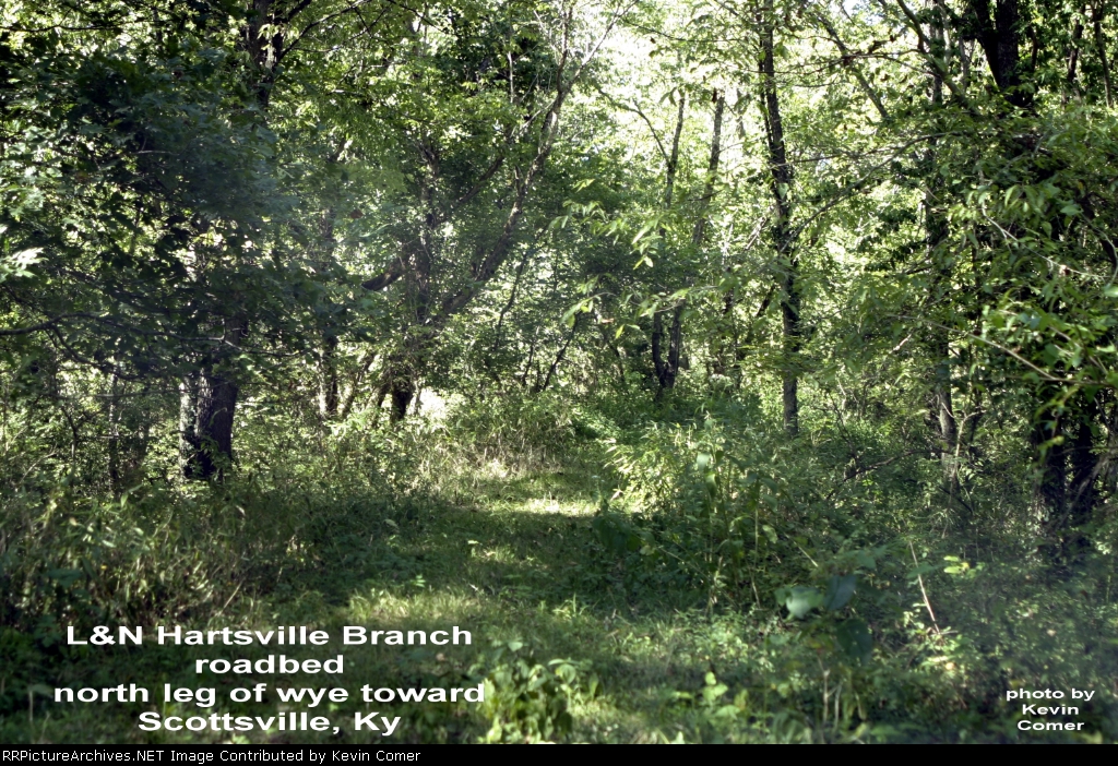 L&N Hartsville Branch north leg of wye toward Scottsville, Ky