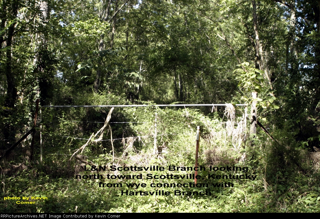 L&N Scottsville Branch roadbed