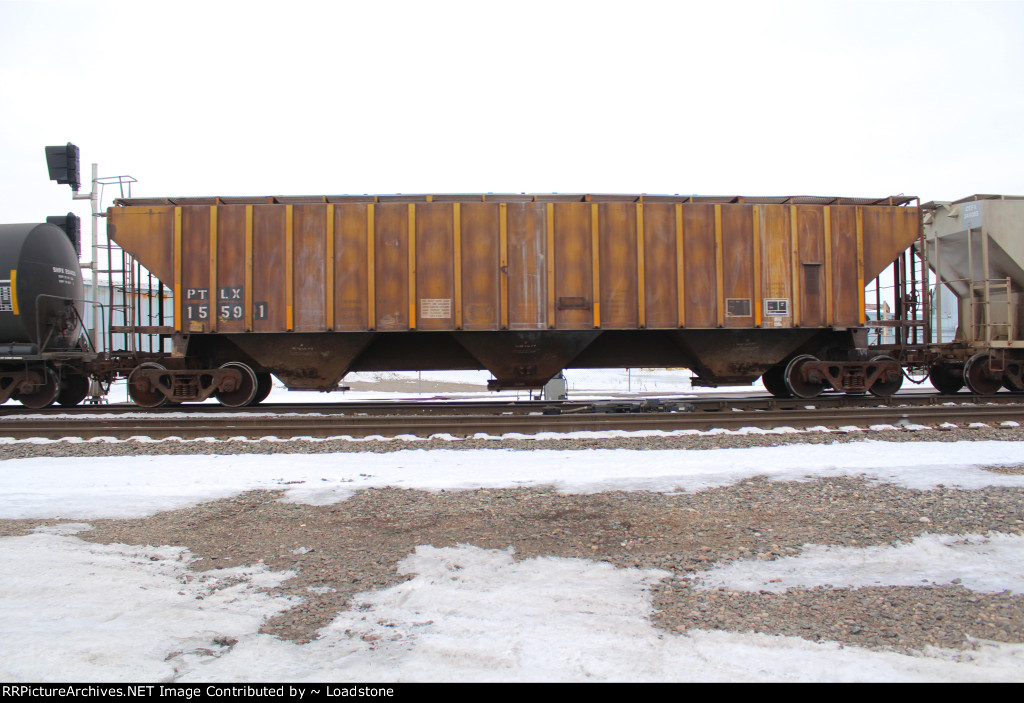PTLX 15591