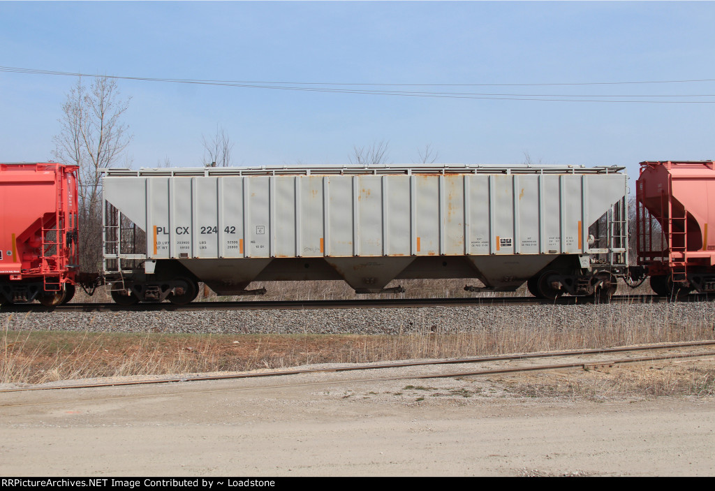 PLCX 22442