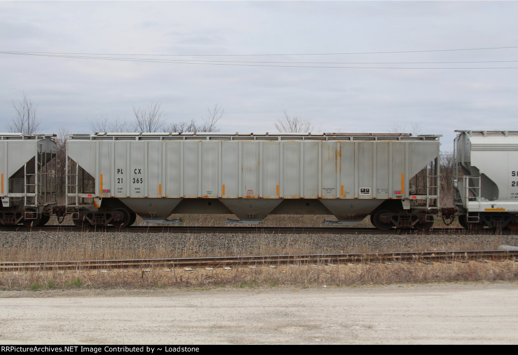 PLCX 21365
