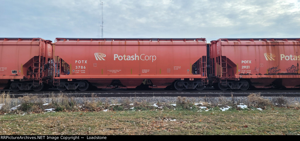 POTX 3786