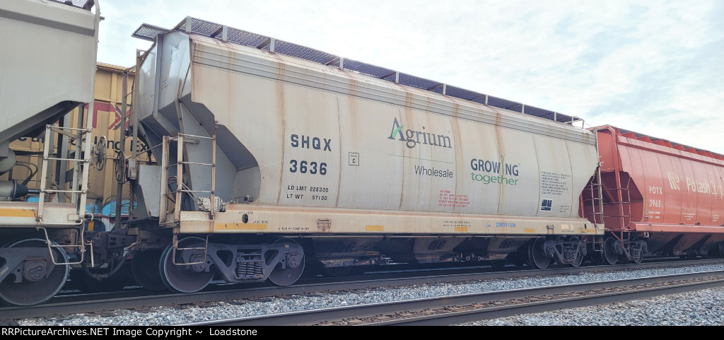 SHQX 3636