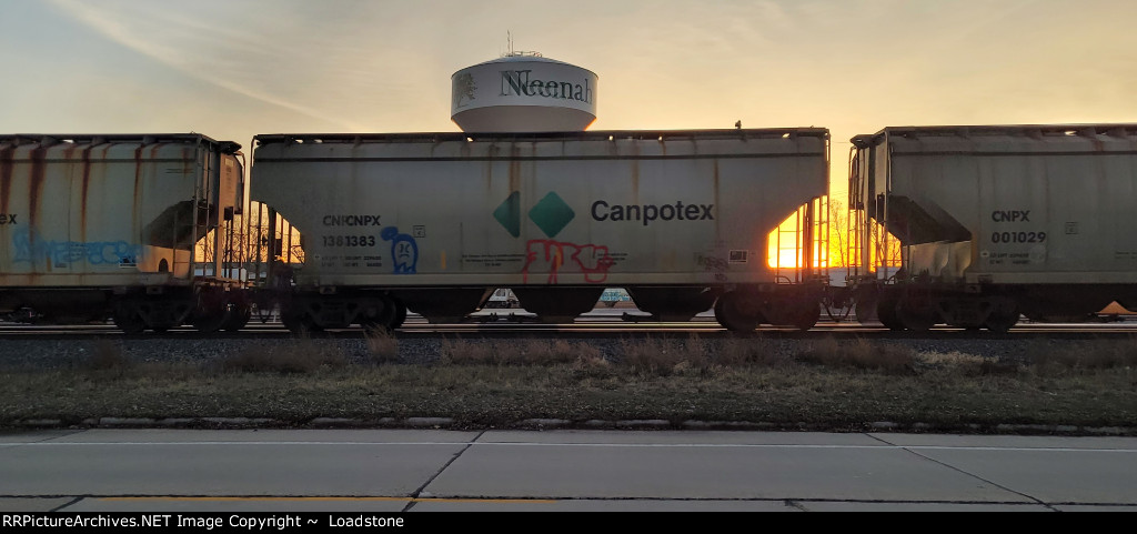 CNPX 1383