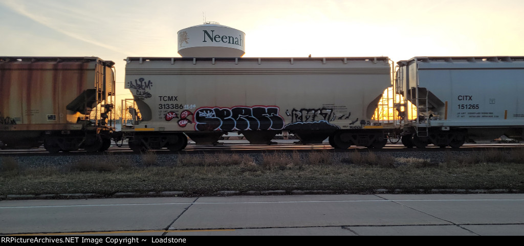 TCMX 313386