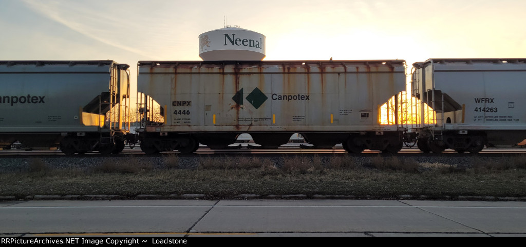 CNPX 4446