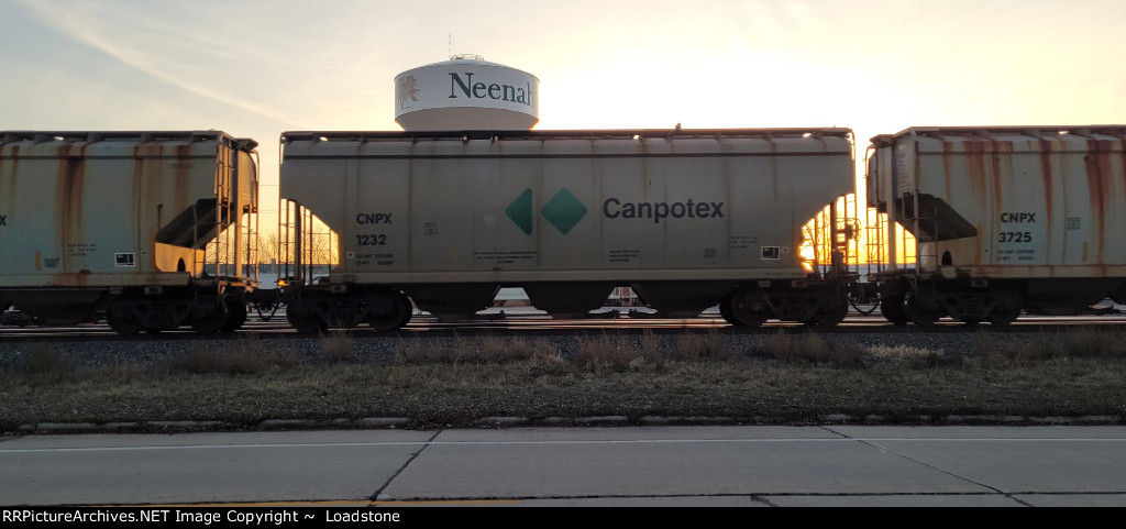 CNPX 1232