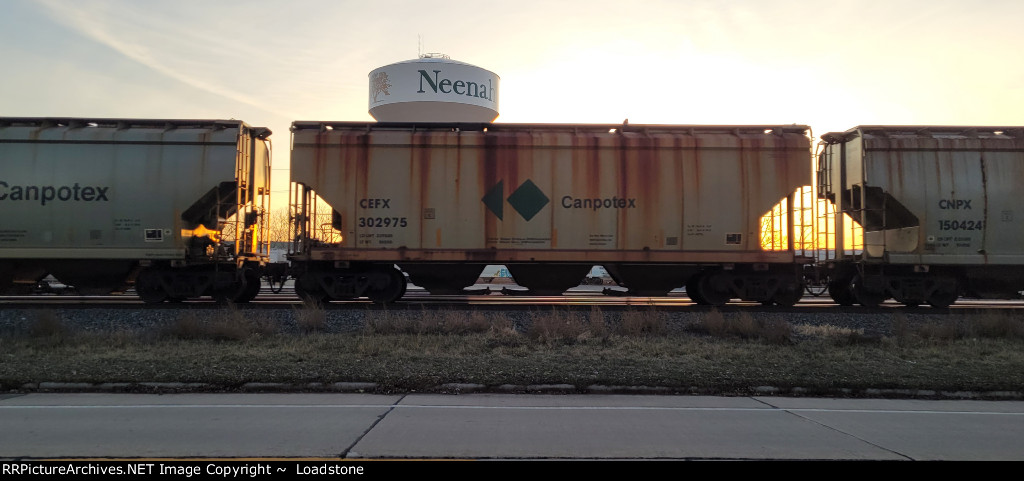 CEFX 302975