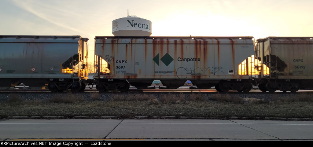 CNPX 3697