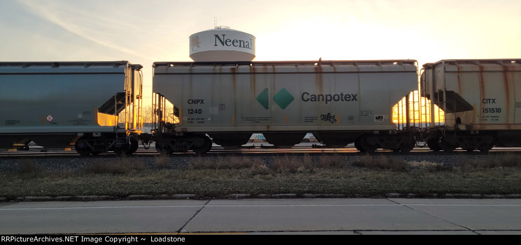 CNPX 1240