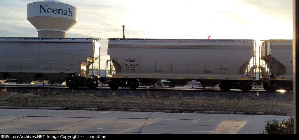 TCMX 313543